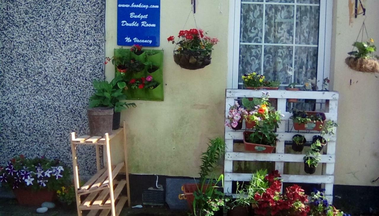 City Cottage Guest House Πλίμουθ Εξωτερικό φωτογραφία